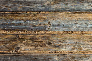 Cracked wood Board Texture closeup
