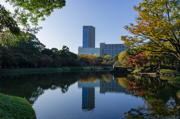 東京都文京区後楽園にある日本庭園の紅葉の景色