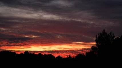 Treeline silhouette against amazing red clouds after sunset sky
