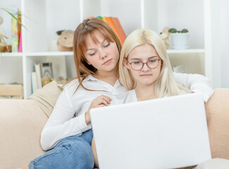 Happy lesbian couple embracing and using laptop at home.  Lesbian couple concept
