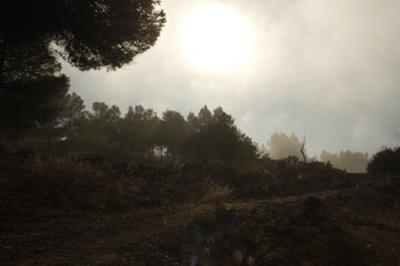 paisajes de niebla