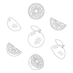 Orange vector doodle line icon set. Grapefruit linear hand drawn symbol group. Healthy vitamin fruits concept. Vector illustration isolated on white.