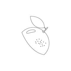 Fruit hand drawn line icon. Lime, lemon, orange or grapefruit linear slice symbol. Healthy exotic food concept. Vector illustration isolated on white.