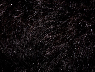 Black hair as an abstract background.