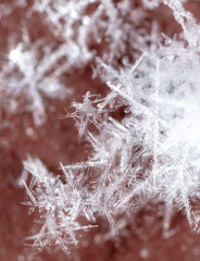 White snowflakes on a metal background.