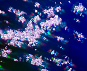Snowflakes on a blue background with reflection.