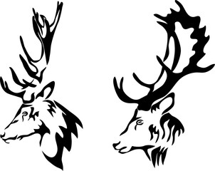 Head of deer - vector illustration - obrazy, fototapety, plakaty