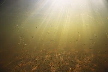 rays of light underwater fresh lake, abstract background nature landscape sun water