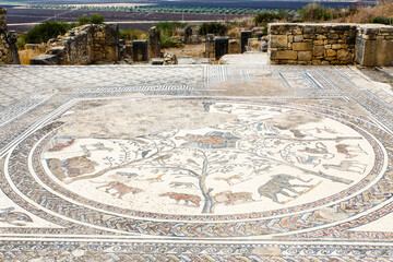 Obraz premium Vobalis, old Roman city in Morocco