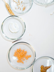 Development Of eco-friendly and modern cosmetics for skin care, a set of bottles and ingredients,