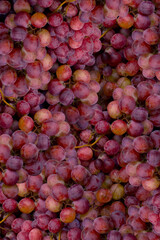 Fresh Red Grape fruits Perfect photography