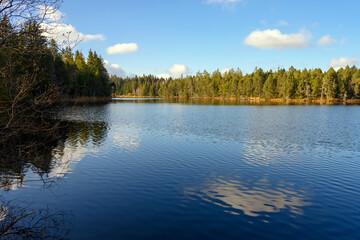 Étang de la Gruère