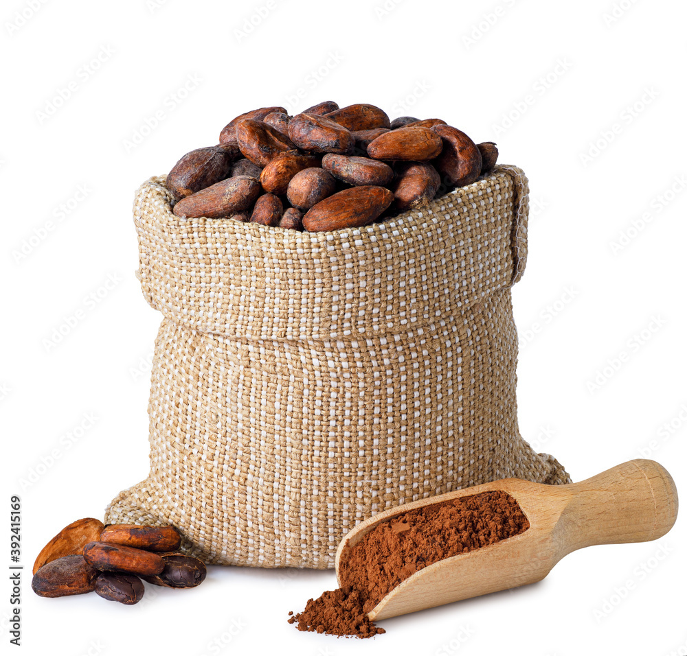 Wall mural cacao beans in bag