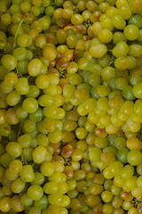 Fresh Green grape Fruits Perfect photography