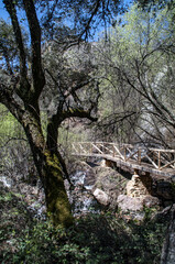 Parque Nacional de Cabañeros, Castilla la Mancha, España
