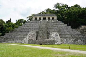 palenque, mexico, forest, messico, chiapas, nature, , environment, traveling, landscape, temples, pyramid, maya, ancient, buildings, tree