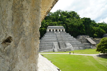 palenque, mexico, forest, messico, chiapas, nature, , environment, traveling, landscape, temples, pyramid, maya, ancient, buildings, tree
