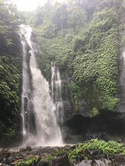 waterfall in the forest