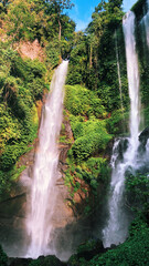 waterfall in the jungle