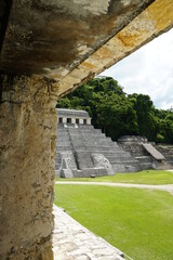 palenque, mexico, forest, messico, chiapas, nature, , environment, traveling, landscape, temples, pyramid, maya, ancient, buildings, tree