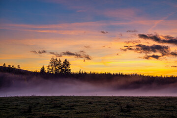 Foggy Forest After Sunset in Autumn