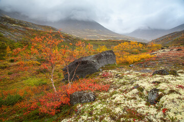 autumn landscape in the mountains - 392421708