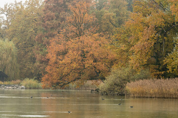 Herbststimmung am See