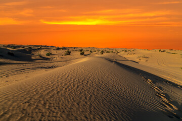 Fototapeta na wymiar Panoramic Landscape Scenery desert safari tire prints in sand dune.