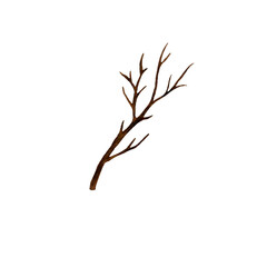 Watercolor tree branch.