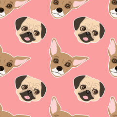 
vector seamless pattern with hand drawn muzzles of cute dogs - pugs and chukhahua on a pink background
