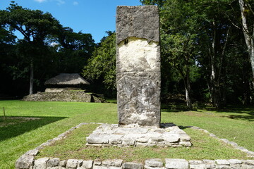 Fototapeta premium Bonampak, Yaxchilán, mexico, forest, messico, chiapas, nature, , environment, traveling, landscape, temples, pyramid, maya, ancient, buildings, tree