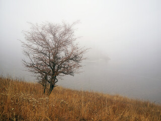 Obraz na płótnie Canvas Thick fog at the river