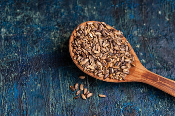 Milk thistle seeds in wooden spoon on blue background
