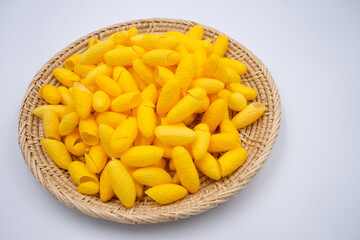 golden color cocoon