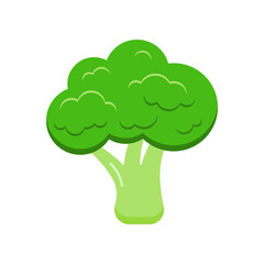 Broccoli fresh vegetable icon isolated on white background. Flat design cartoon style fresh gmo free green organic vegetable vector illustration. Vegan and diet healthy food symbol.