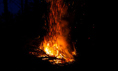 Night bonfire in the forest