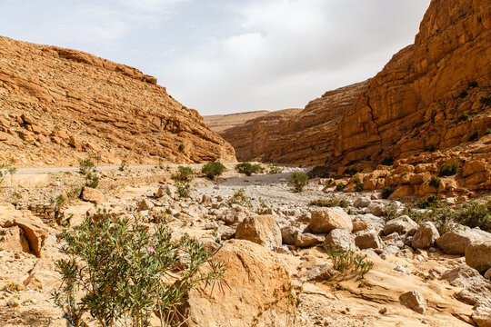 Dades kloof, Gorges du Dades, Hoge Atlas 
