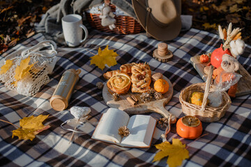 
Beautiful autumn picnic with cinnamon buns, macarons and hot tea on a plaid blanket on a warm sunny day