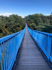 Obraz premium wooden bridge in the forest