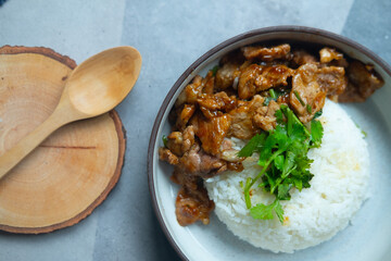 Fried garlic pork serve with white rice