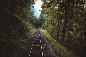 Obraz premium Train in a Forest