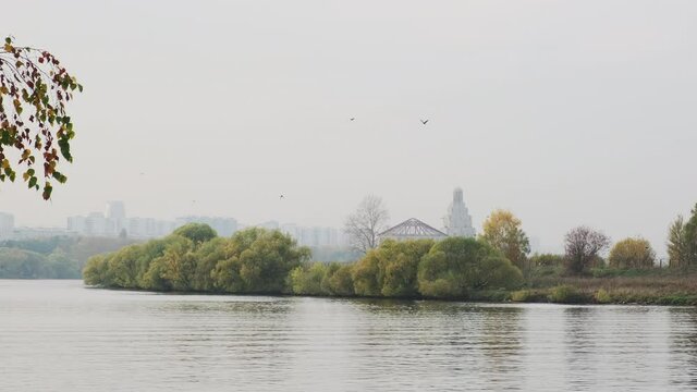 Calm nature city landscape, beautiful river with flying birds over building church . 