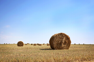 Haystack in a field against the sky