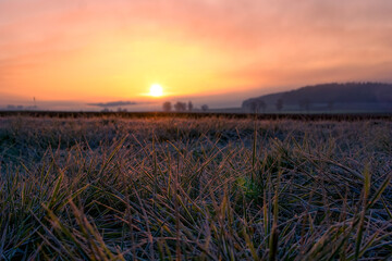 Sunrise over the field