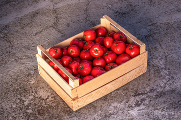 Juicy and fresh tomatoes in wooden box on old cracked concrete background. Top view with text space.