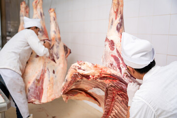 Two butcher cut raw meats hanging in the cold store. Cattles cut and hanged on hook in slaughterhouse, Meat industry,  Wagyu Beef.
