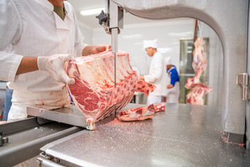 Close up butcher meat wagyu beef cutting room worker cutting a piece of meat on the electric belt cutter at the slaughterhouse, Meat industry.