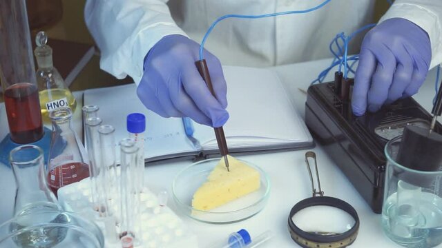 Food safety laboratory, scientist concept. The inspector conducts quality research on the cheese in the laboratory.