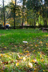 Obraz premium urban photography through the streets of Madrid