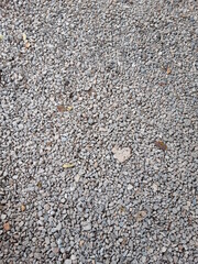  no.77 small pebble image